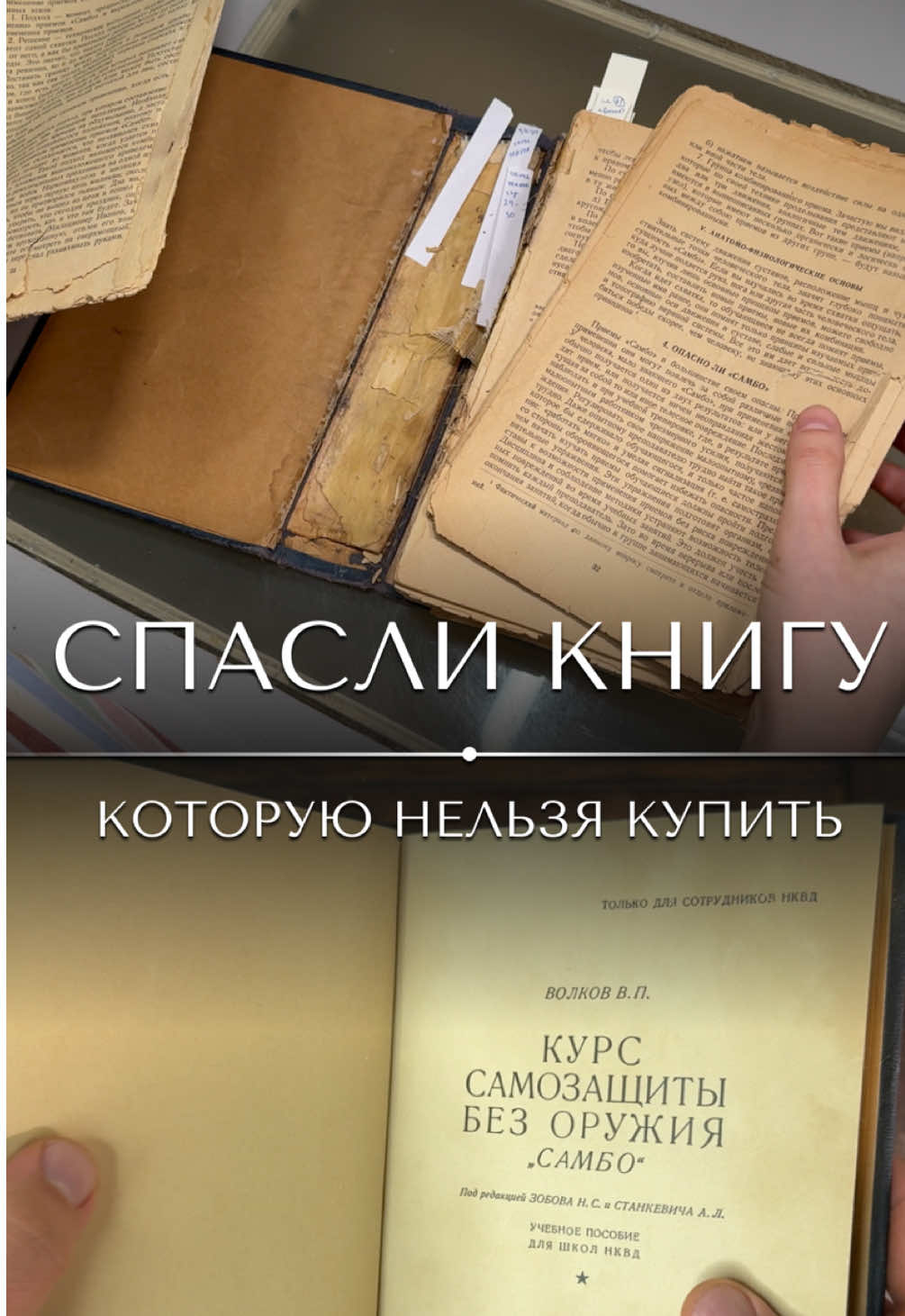@&laquo;Ваш реставратор&raquo;