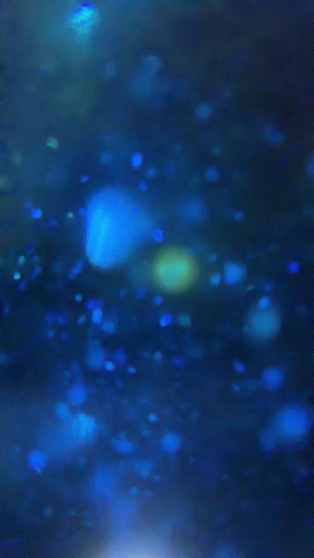 @🦋 JK ASMR 🌬️
