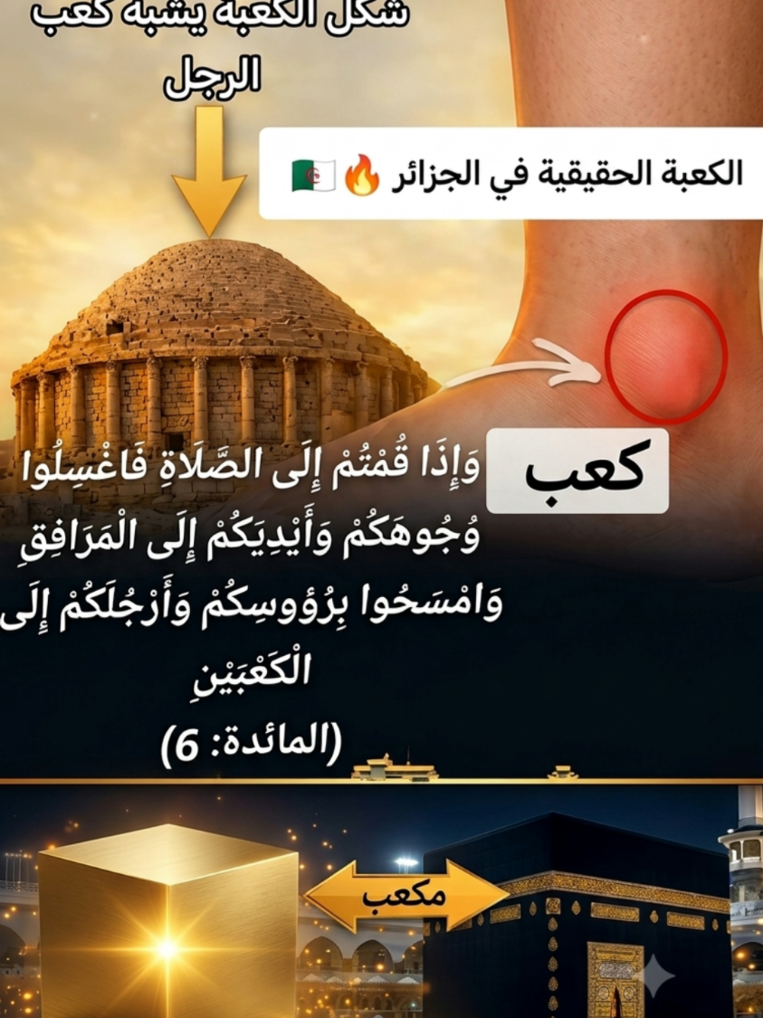 @Walid Joshua Bennon