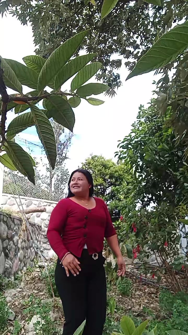 @Beatriz Rumipulla