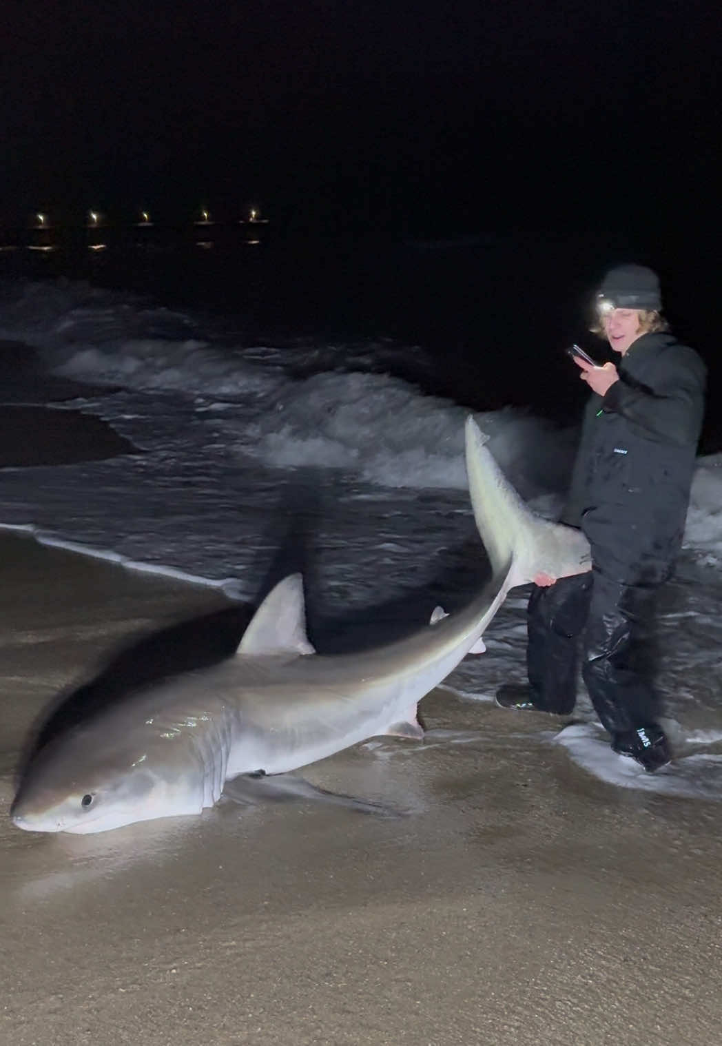 @ILM Shark Club