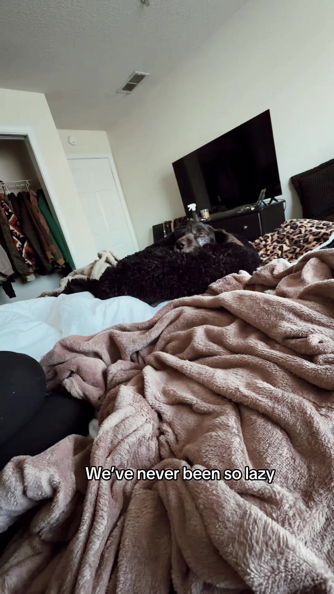 @dailyd0seofmk