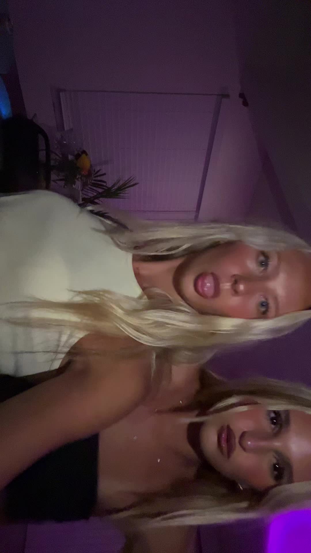 @laylasspam