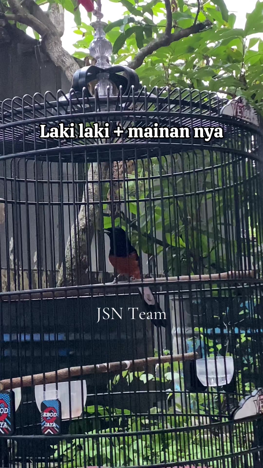 @JSN Team