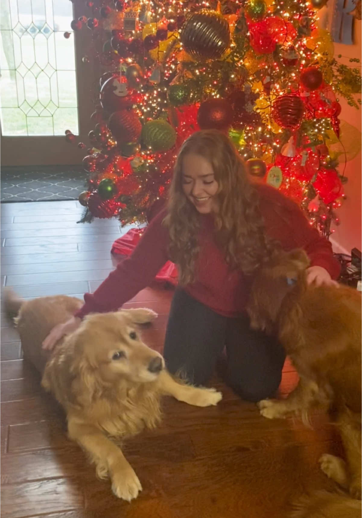 @Family full of goldens