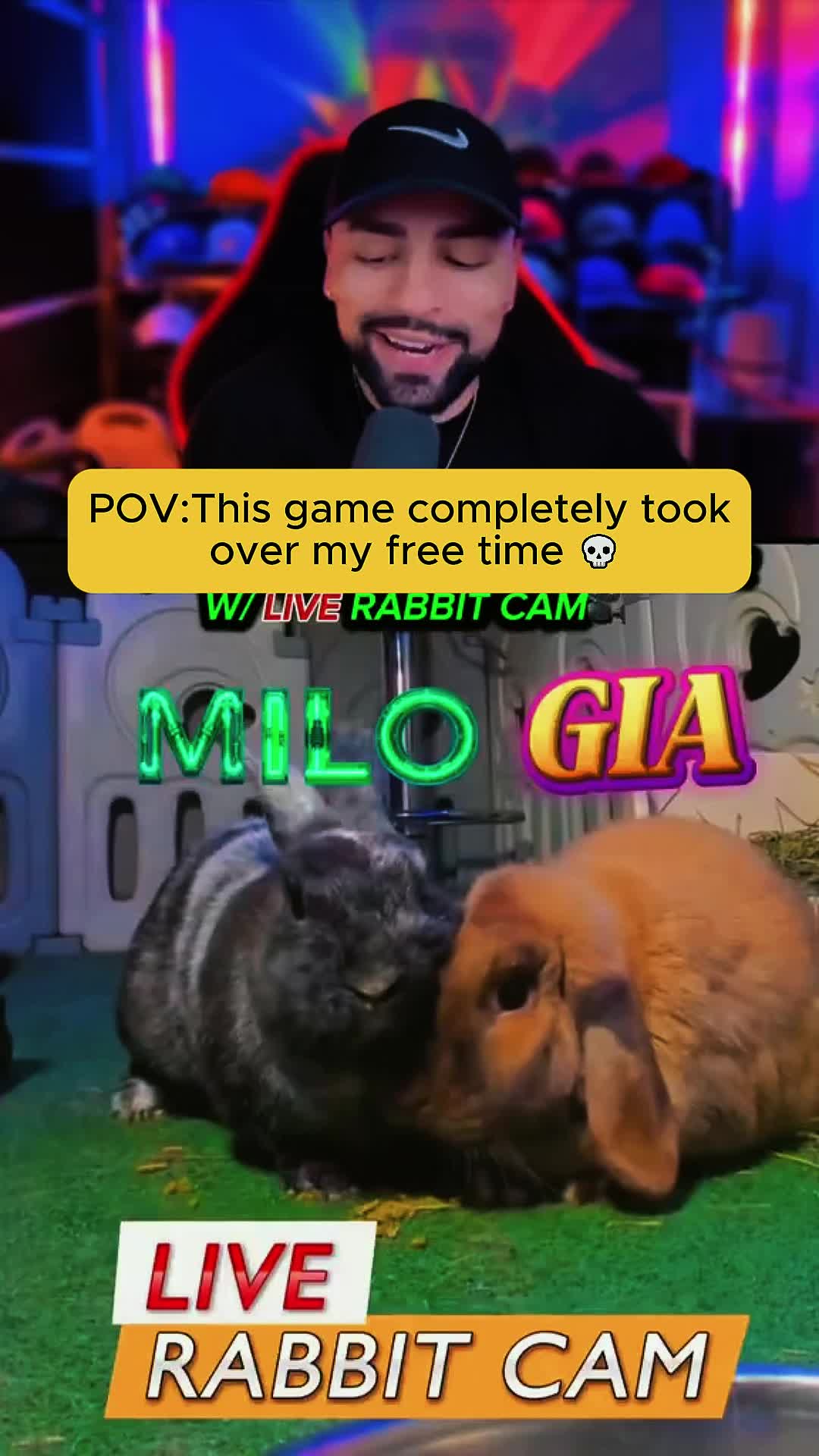 @๐๐๐๐๐๐๐๐๐๐งธ๐๏ธ๐