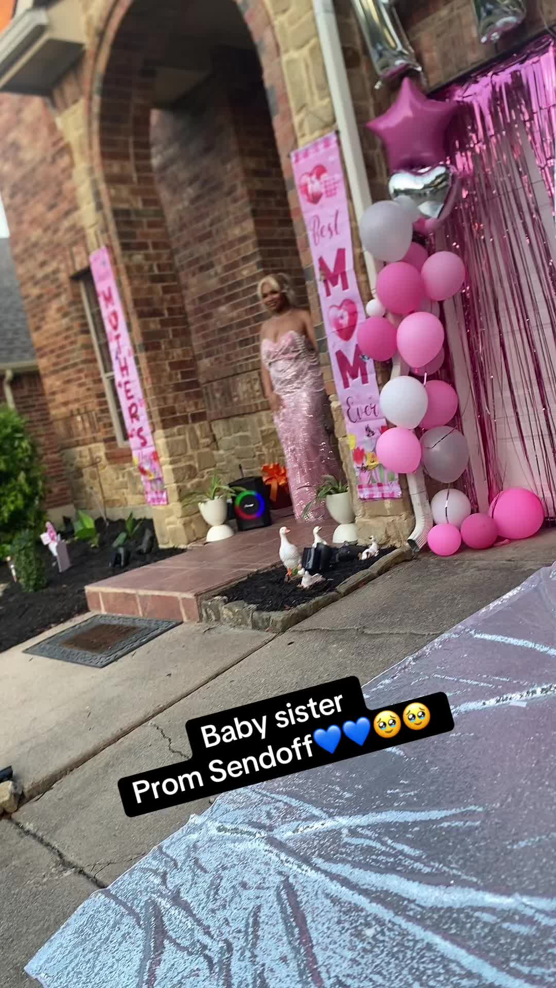 @214Teddy