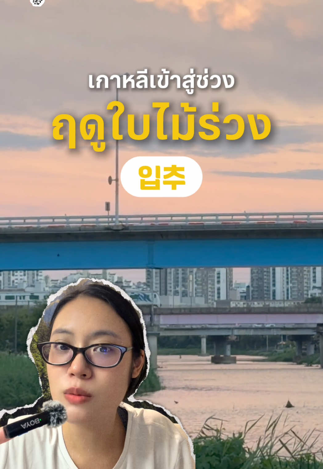 @ยีนส์ Ujean | เกาเล่าเนื้อ