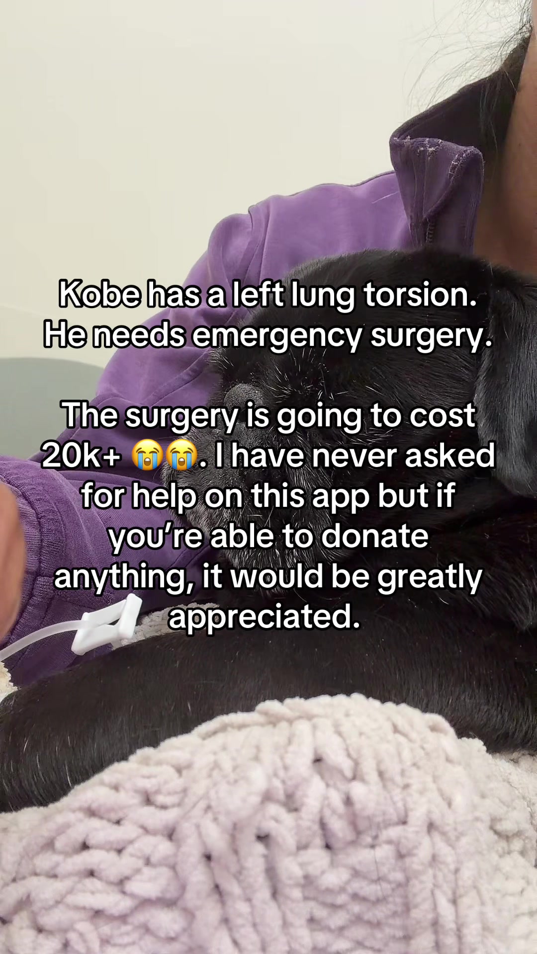 @Thedistracteddogmom