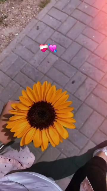 @Mileny.30Ⓜ️
