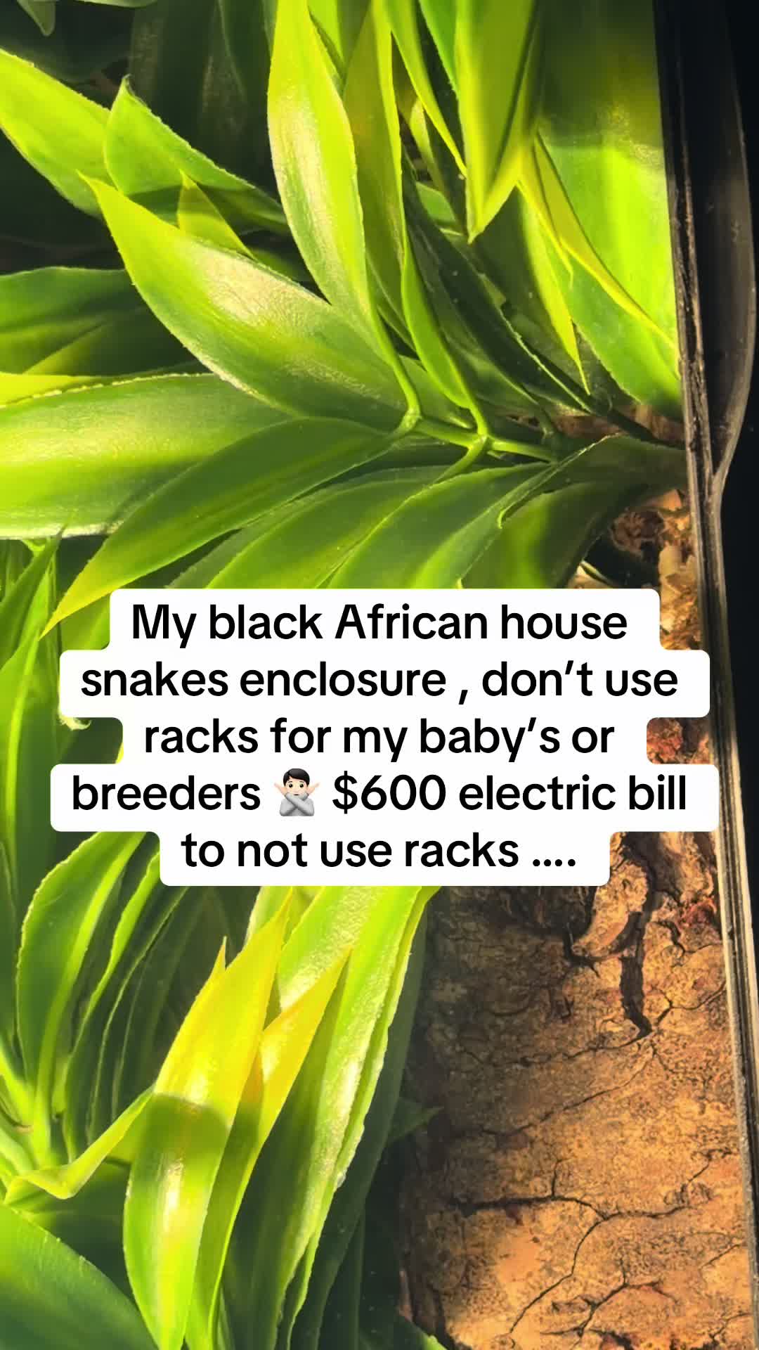 @𝓣𝓻𝓮𝓷𝓽𝓸𝓷