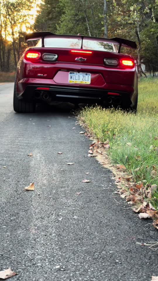 @VR ZL1