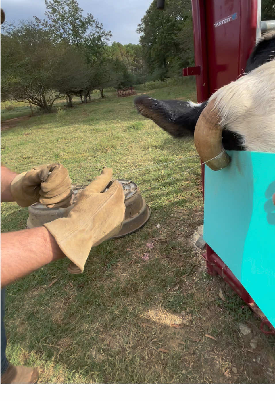 @Georgia Farm Girl
