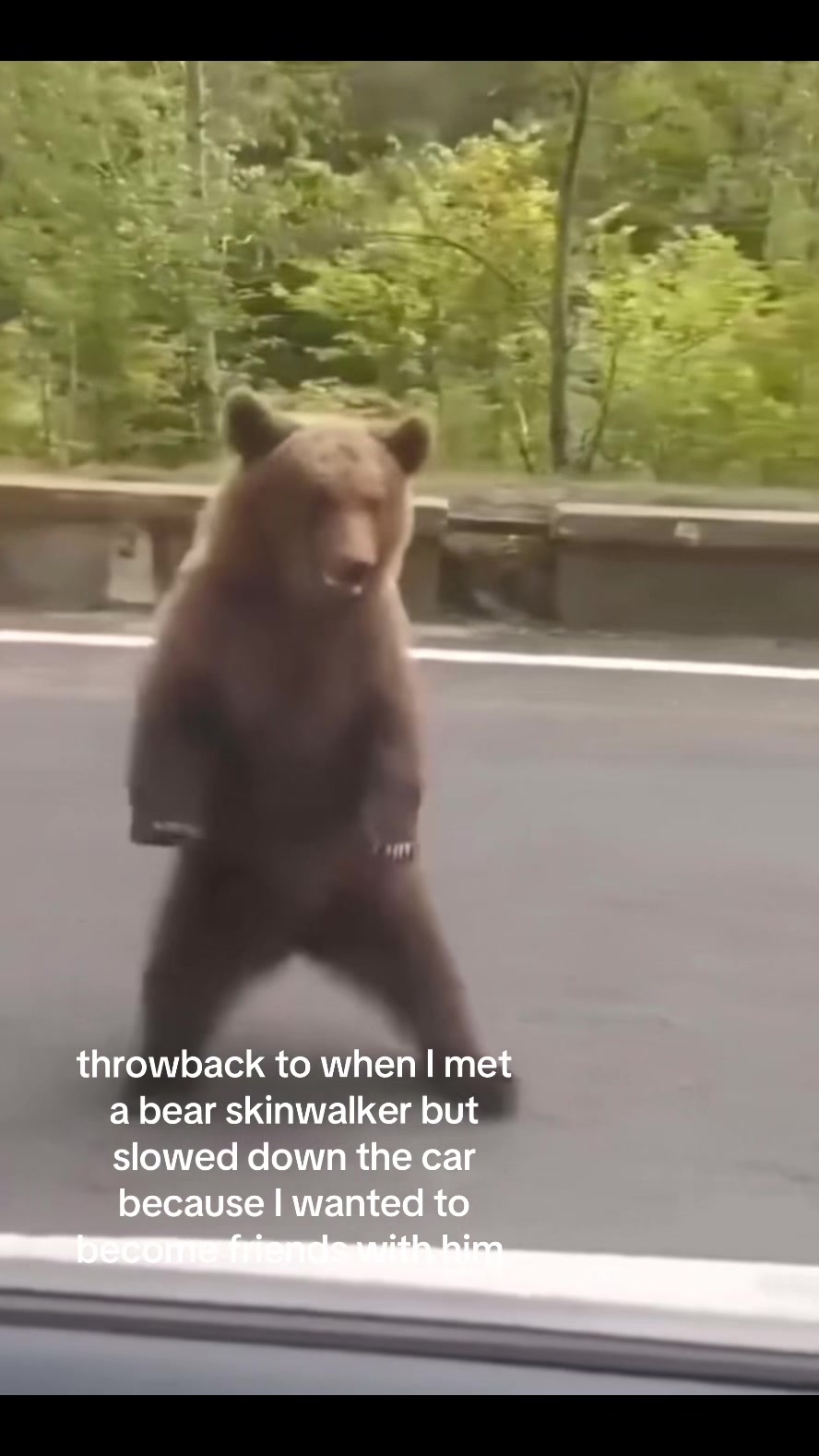 @vic