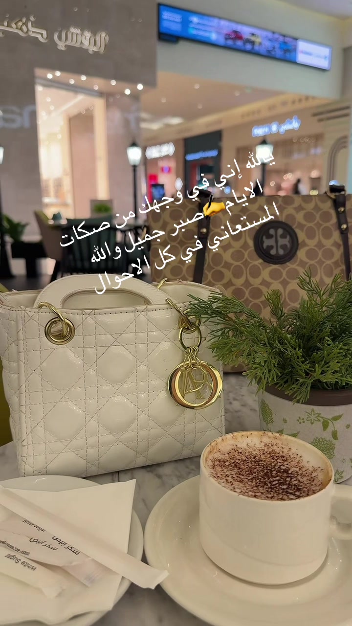 @⭐️⭐️⭐️نجمة الهيلا وبس ⭐️(١)⭐️