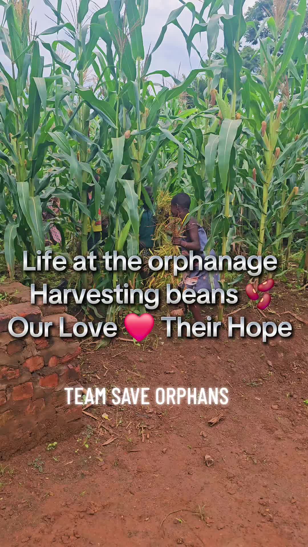 @TEAM SAVE ORPHANS