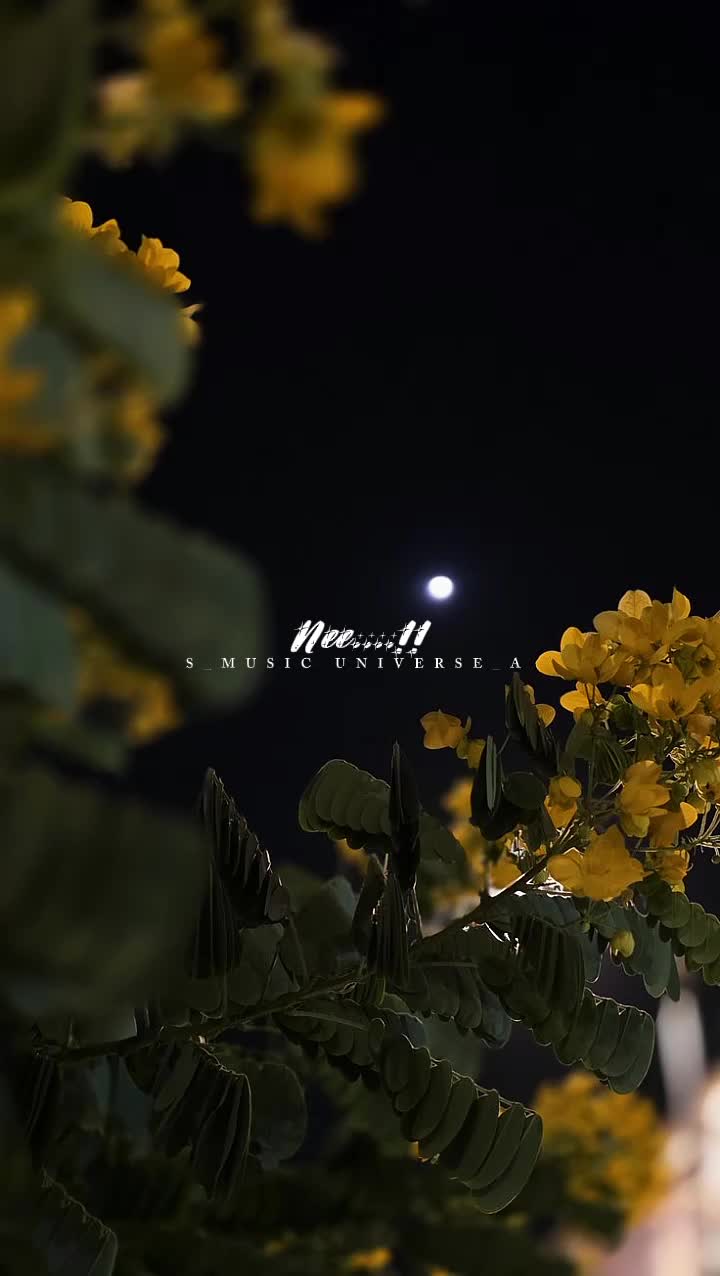 @&hearts;𝙈𝙐𝙎𝙄𝘾 𝙐𝙉𝙄𝙑𝙀𝙍𝙎𝙀&hearts;