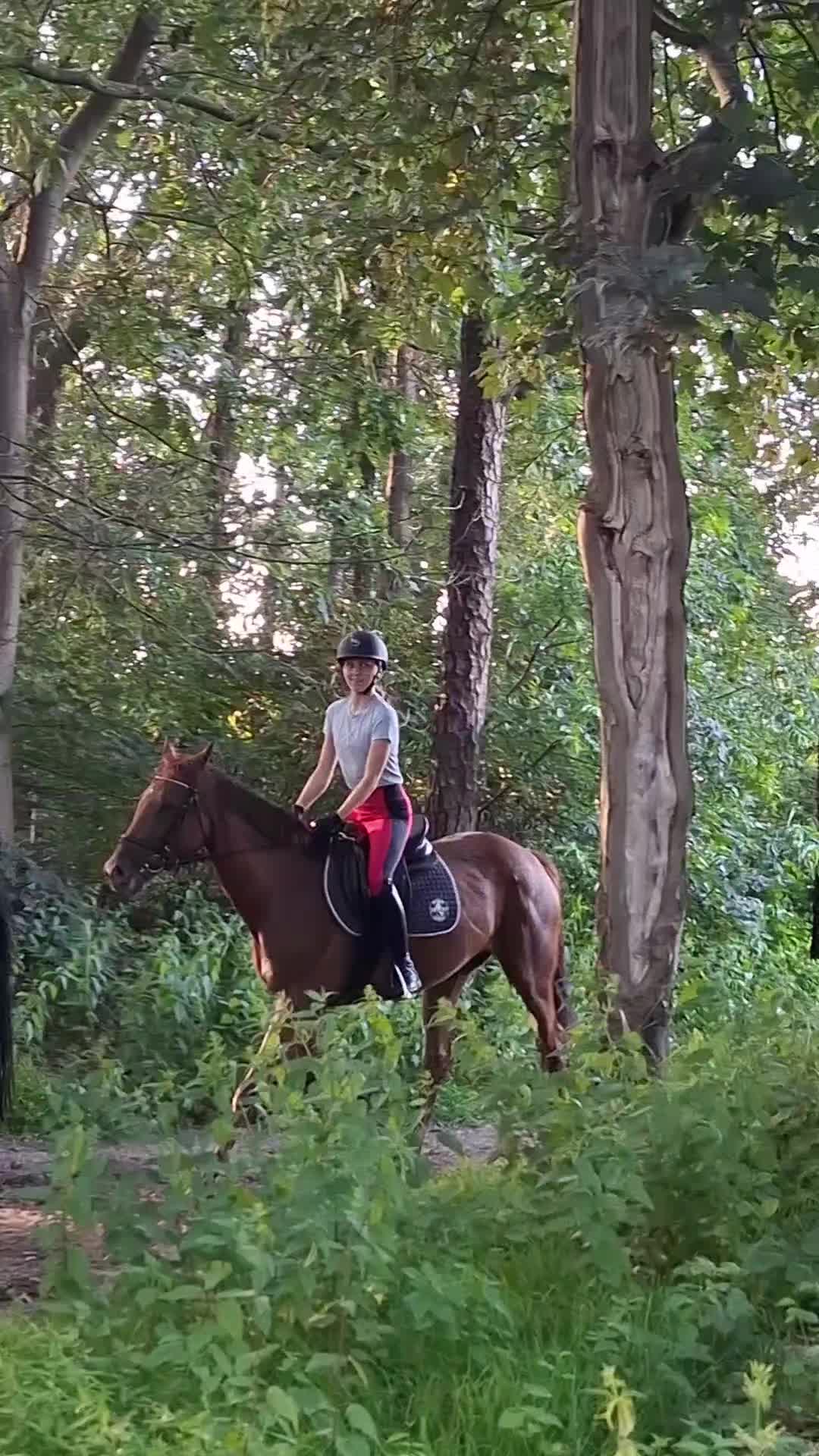 @horses.by.Britt:)