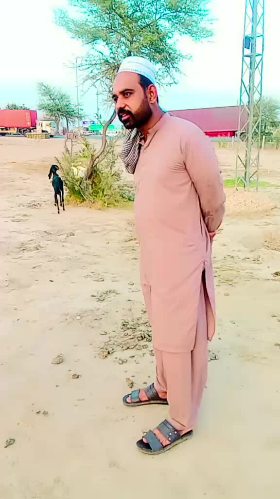 @گادیNNS