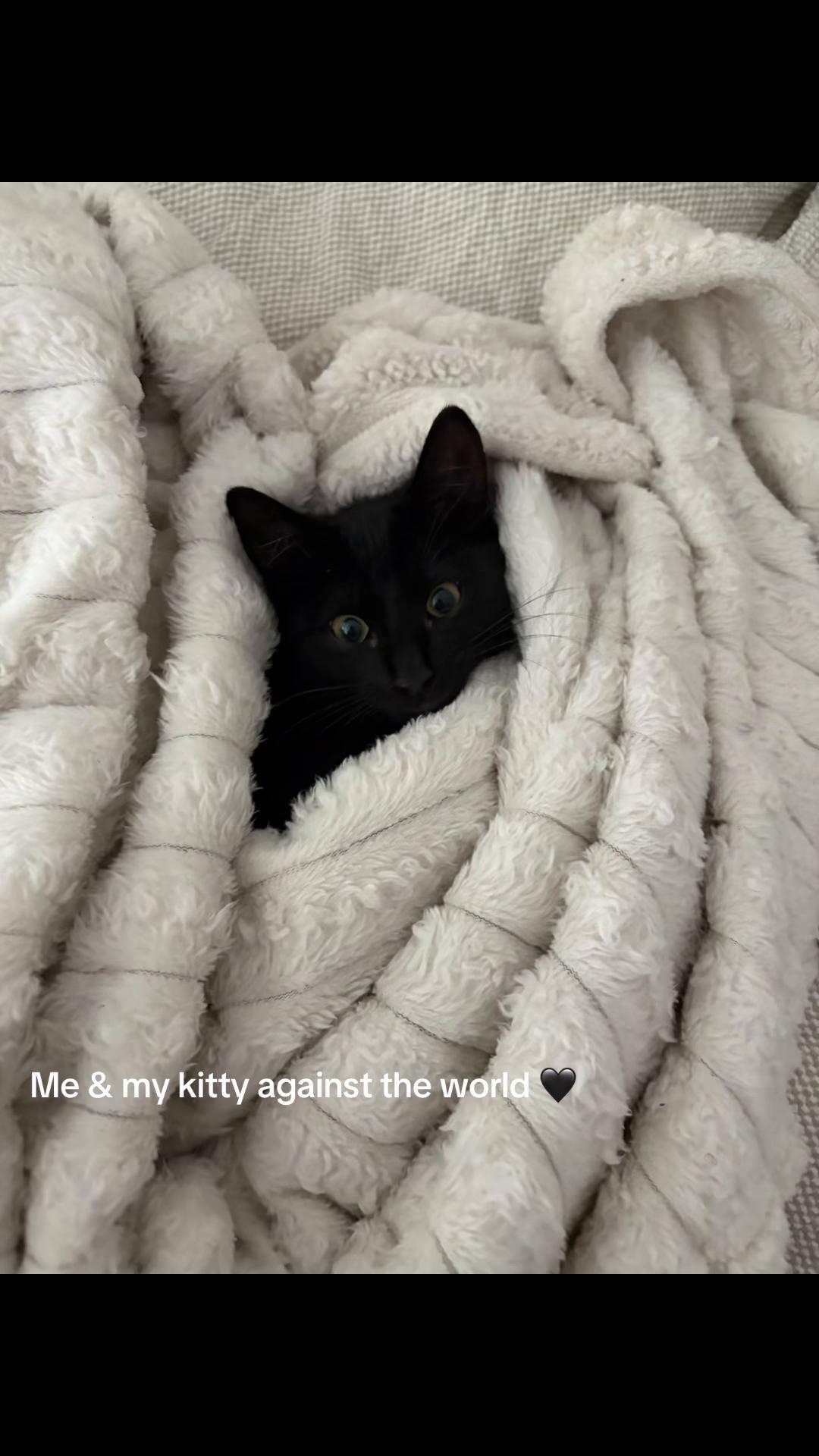 @kuwtw
