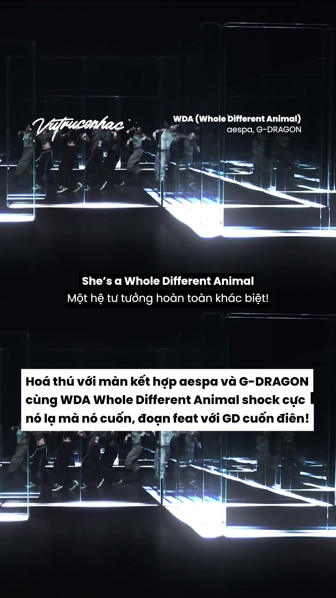@vũ trụ c&oacute; nhạc.