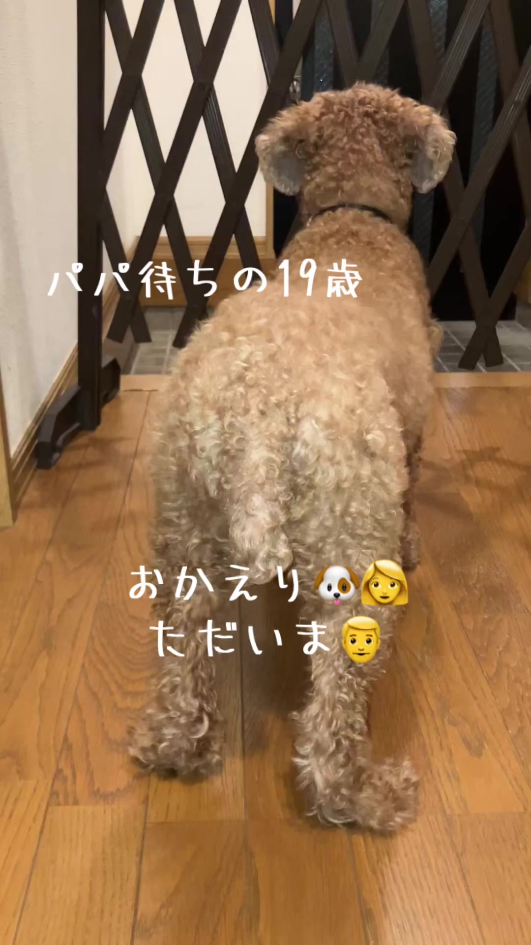 @ルイママ
