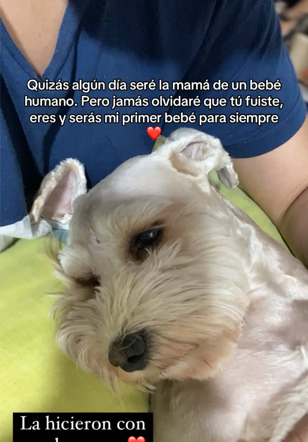 @JHENNIFER RODRIGUEZ🇻🇪