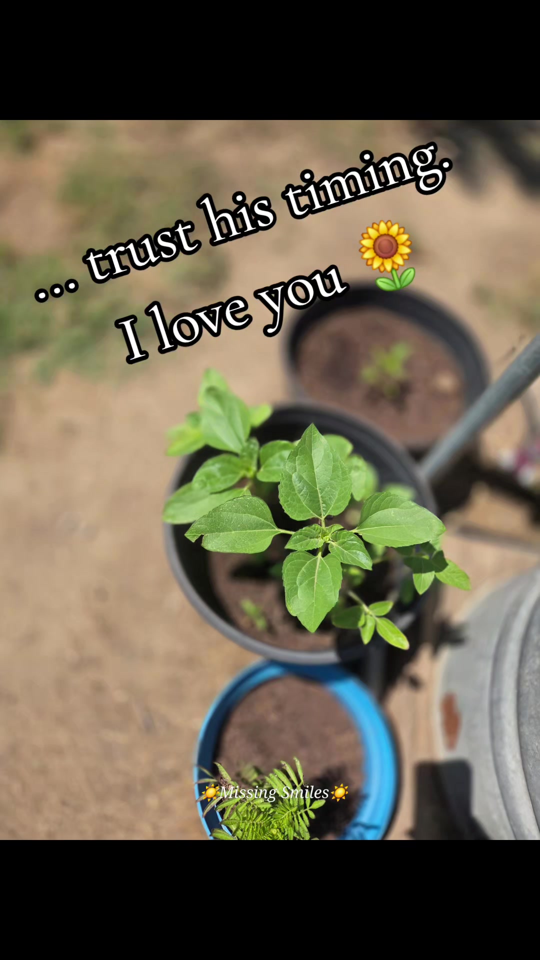 @MotherFreedom