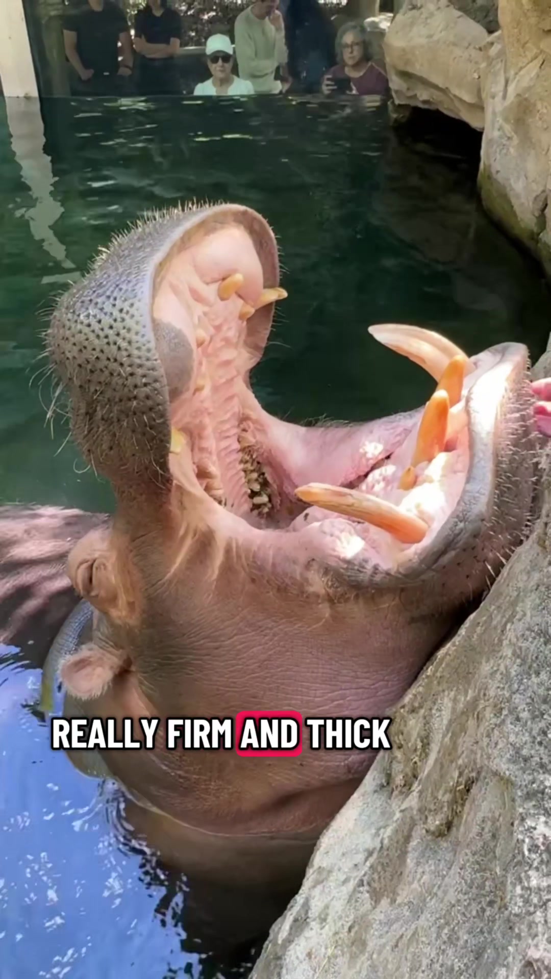 @Cincinnati Zoo