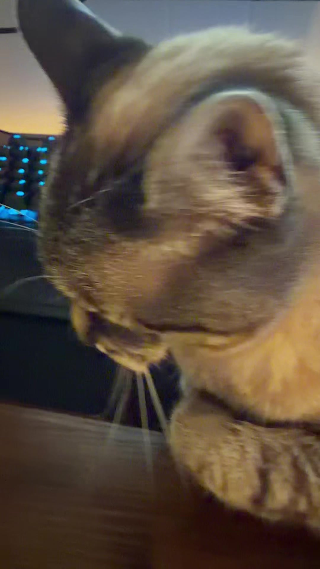 @PepperTheCat