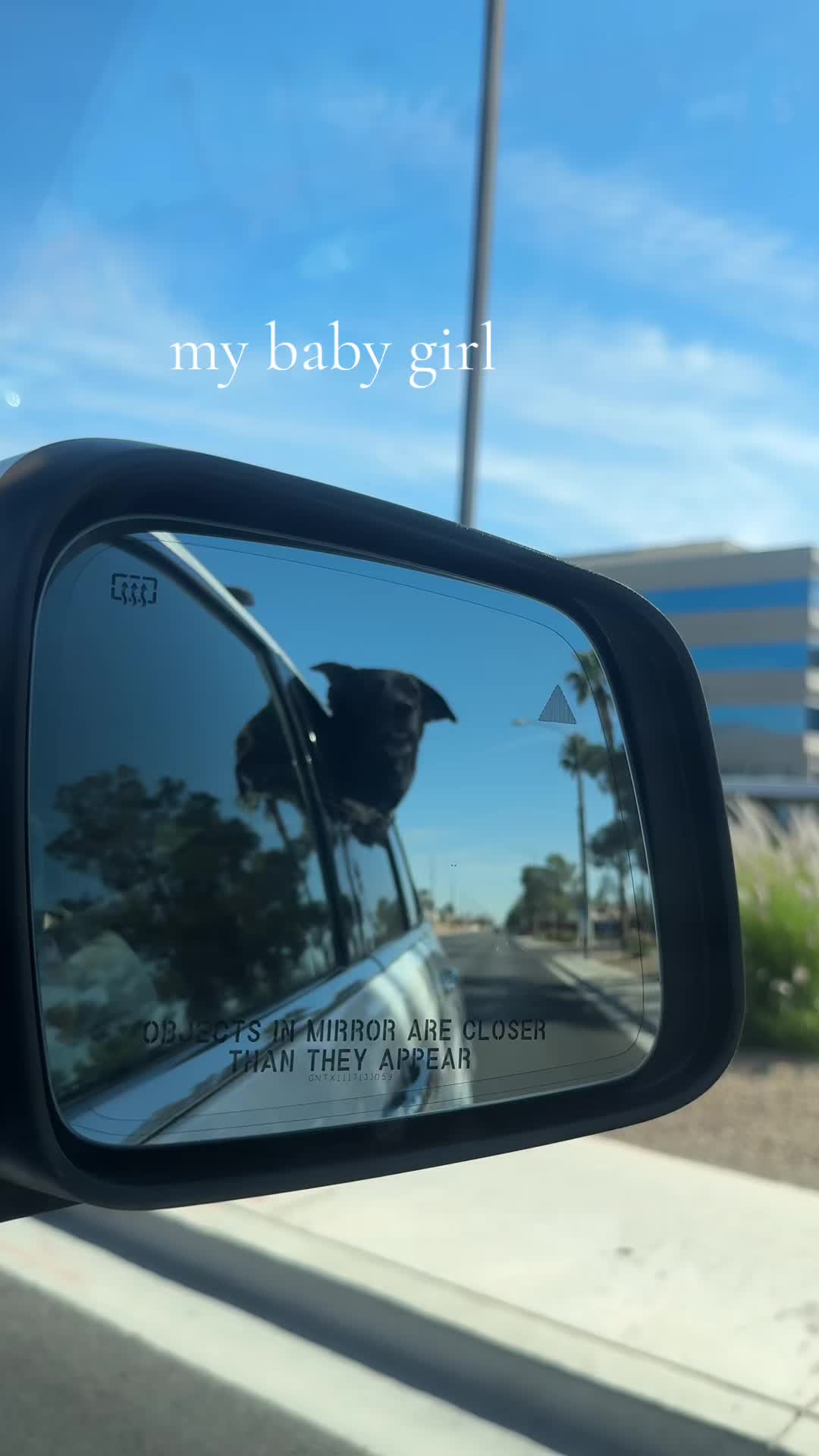 @hiiiicarly🤍