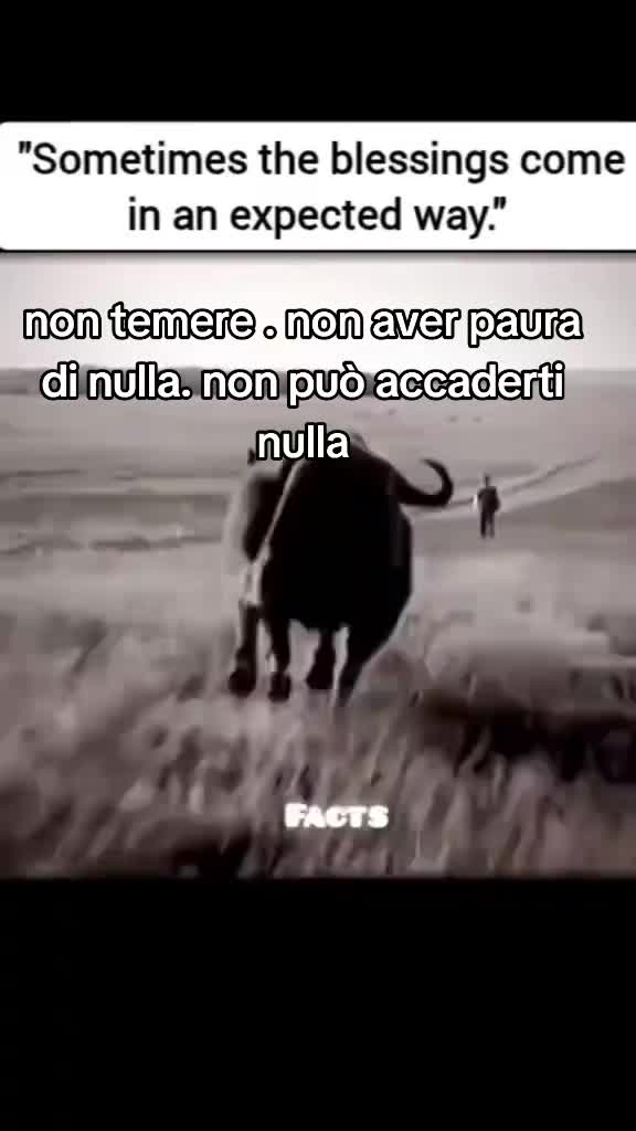 @gius_