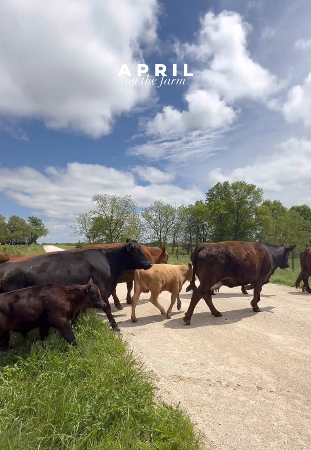 @kl2farms