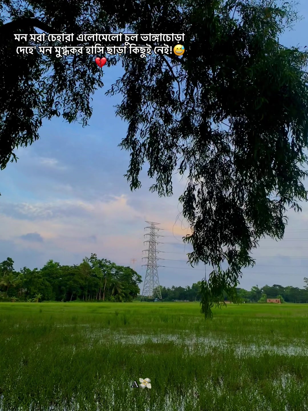 @পাবলিক 🔖