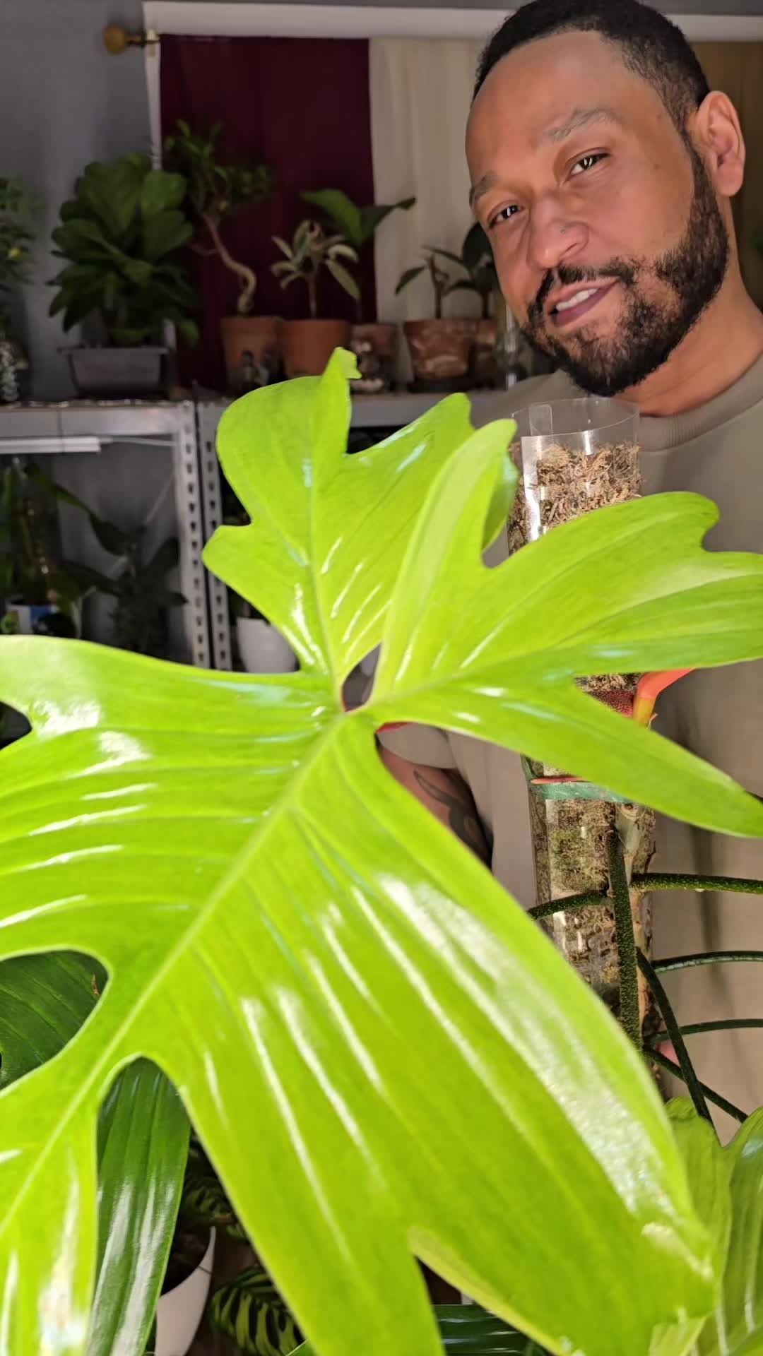 @JT - BigEGOPlants