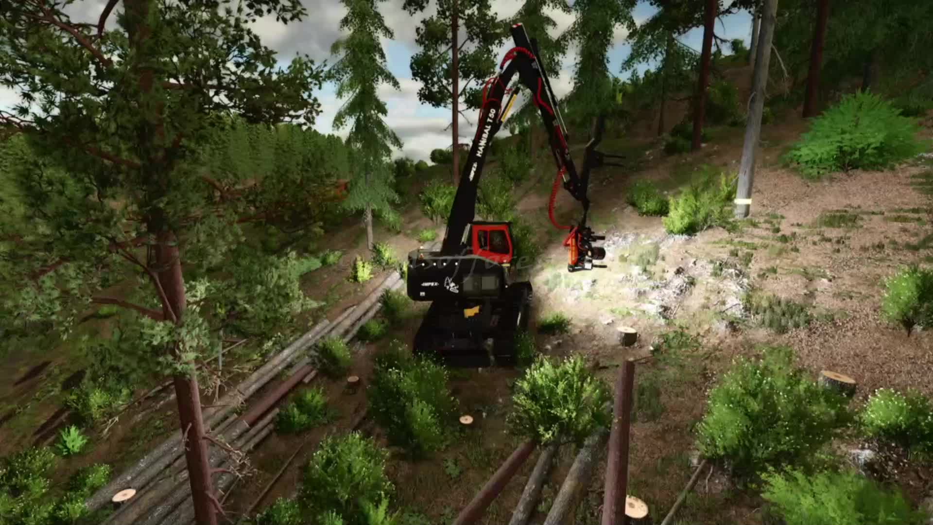 @SONS OF FORESTRY