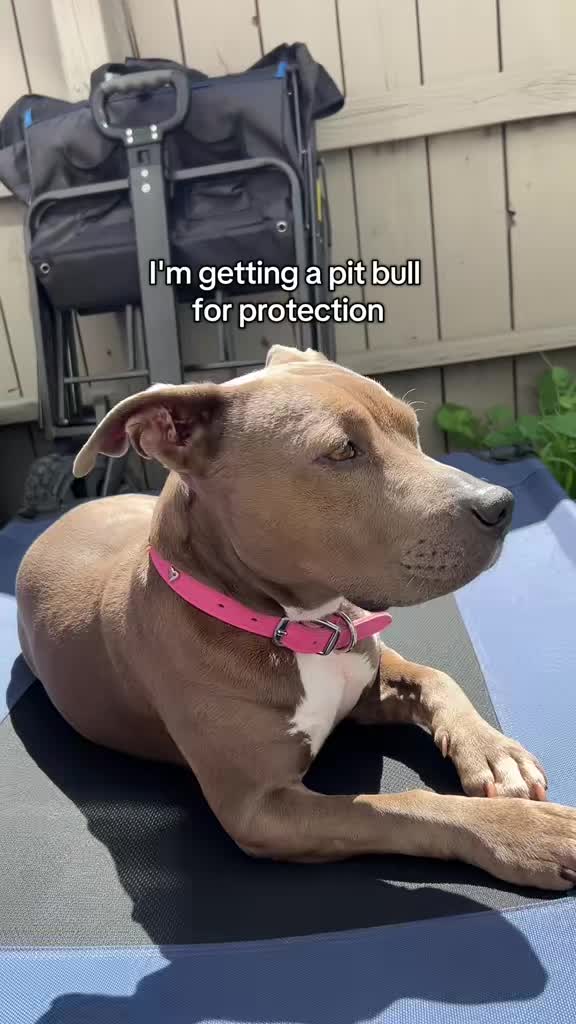 @Cali the Pit