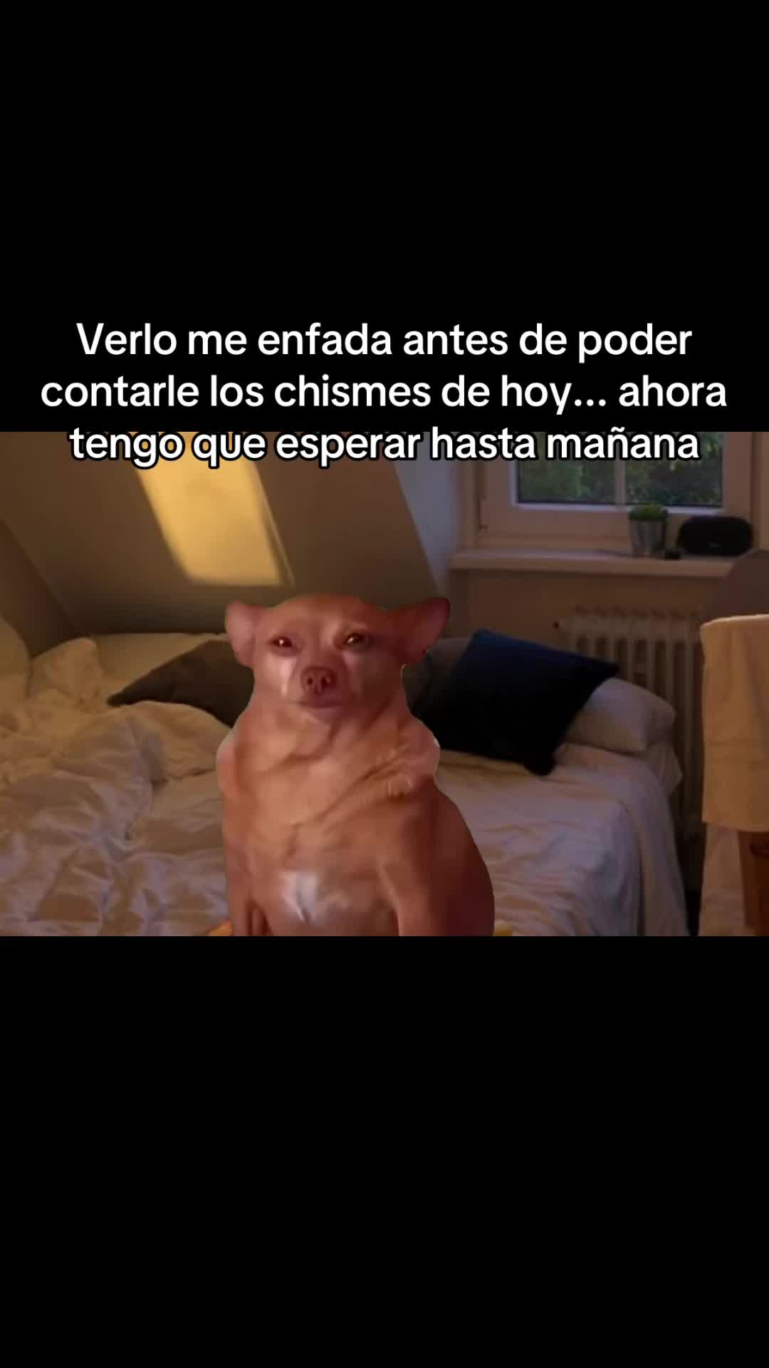@AmorInfiny