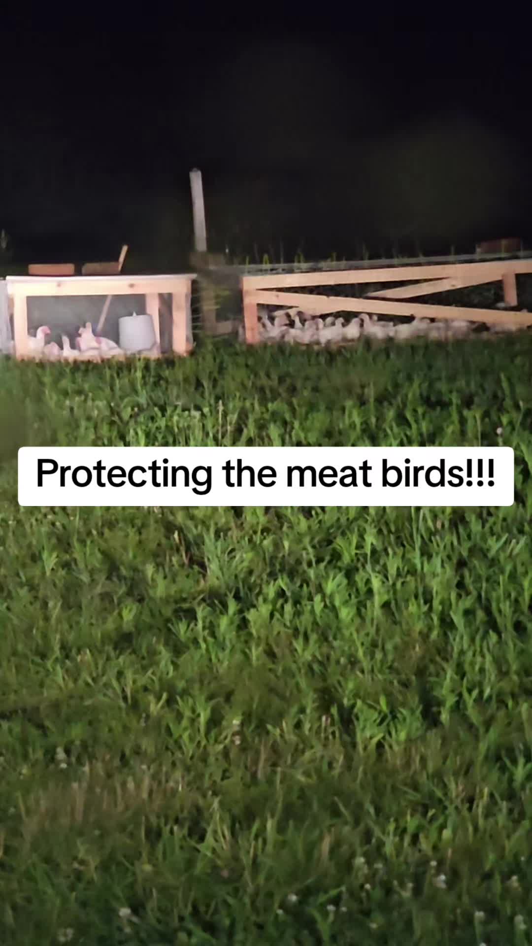 @2nd_Amend_Pasture_Raised_Eggs