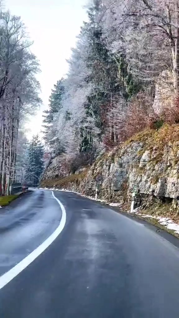 @Nina_66