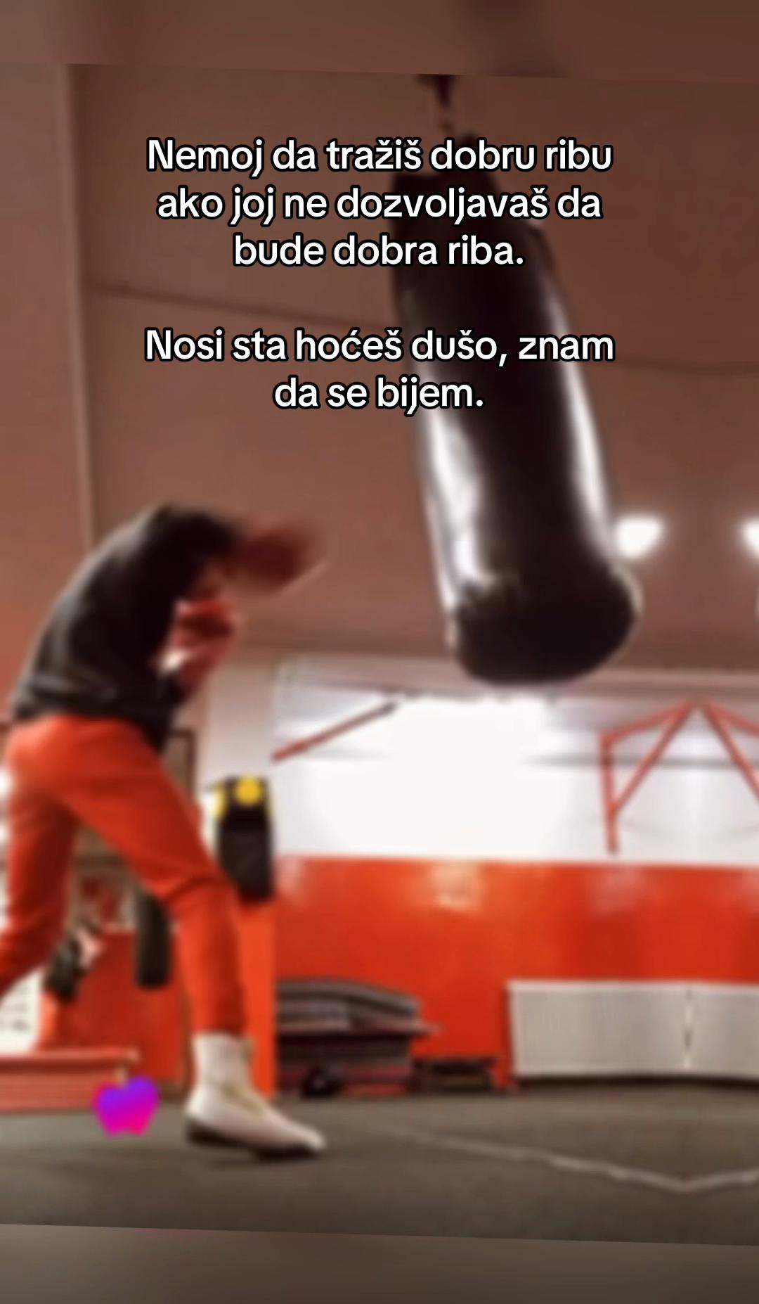 @marinkovicn_