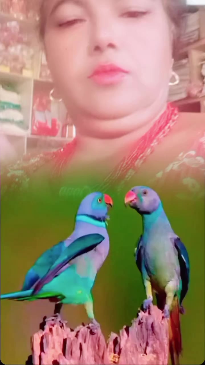 @mitthu Mahat ❤️🩷
