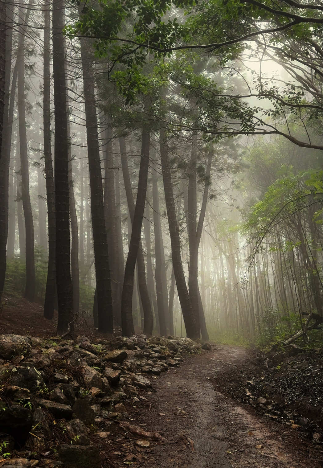@Anna | Solo Travel โ๏ธ๐๏ธ๐๏ธ