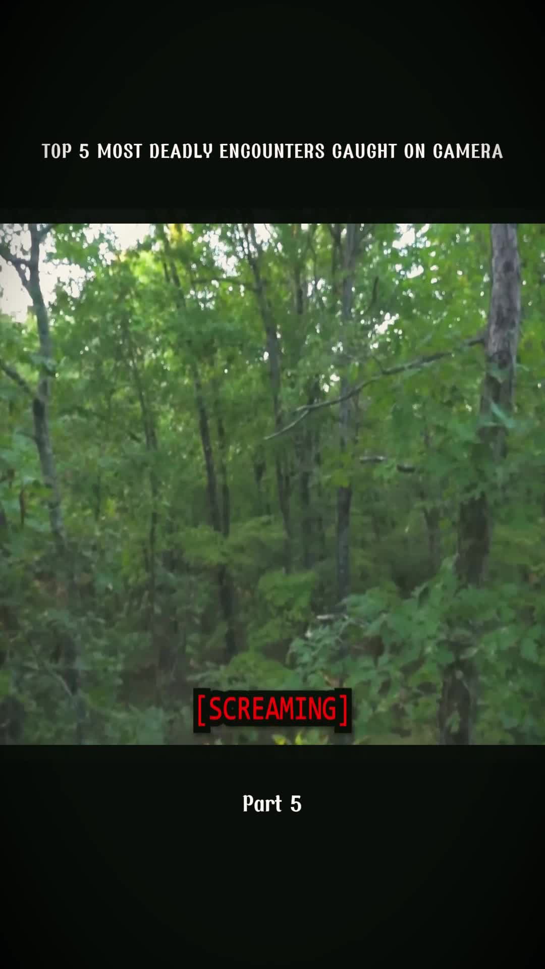 @CreepyStories