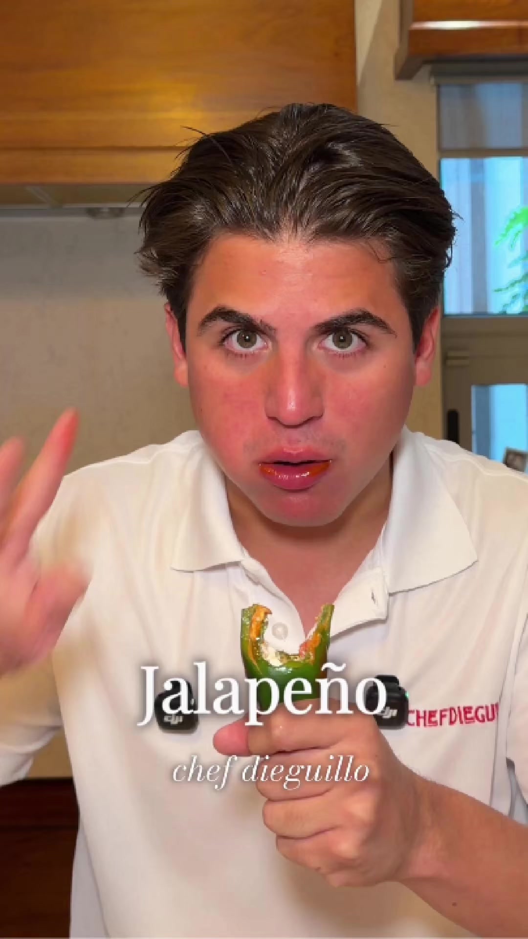 @chefdieguillo