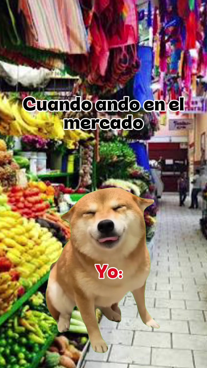 @Vane LC