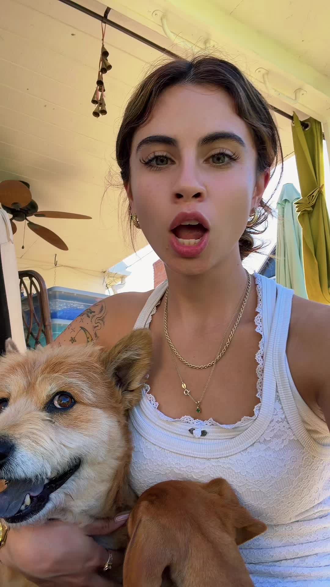 @iggybellyy
