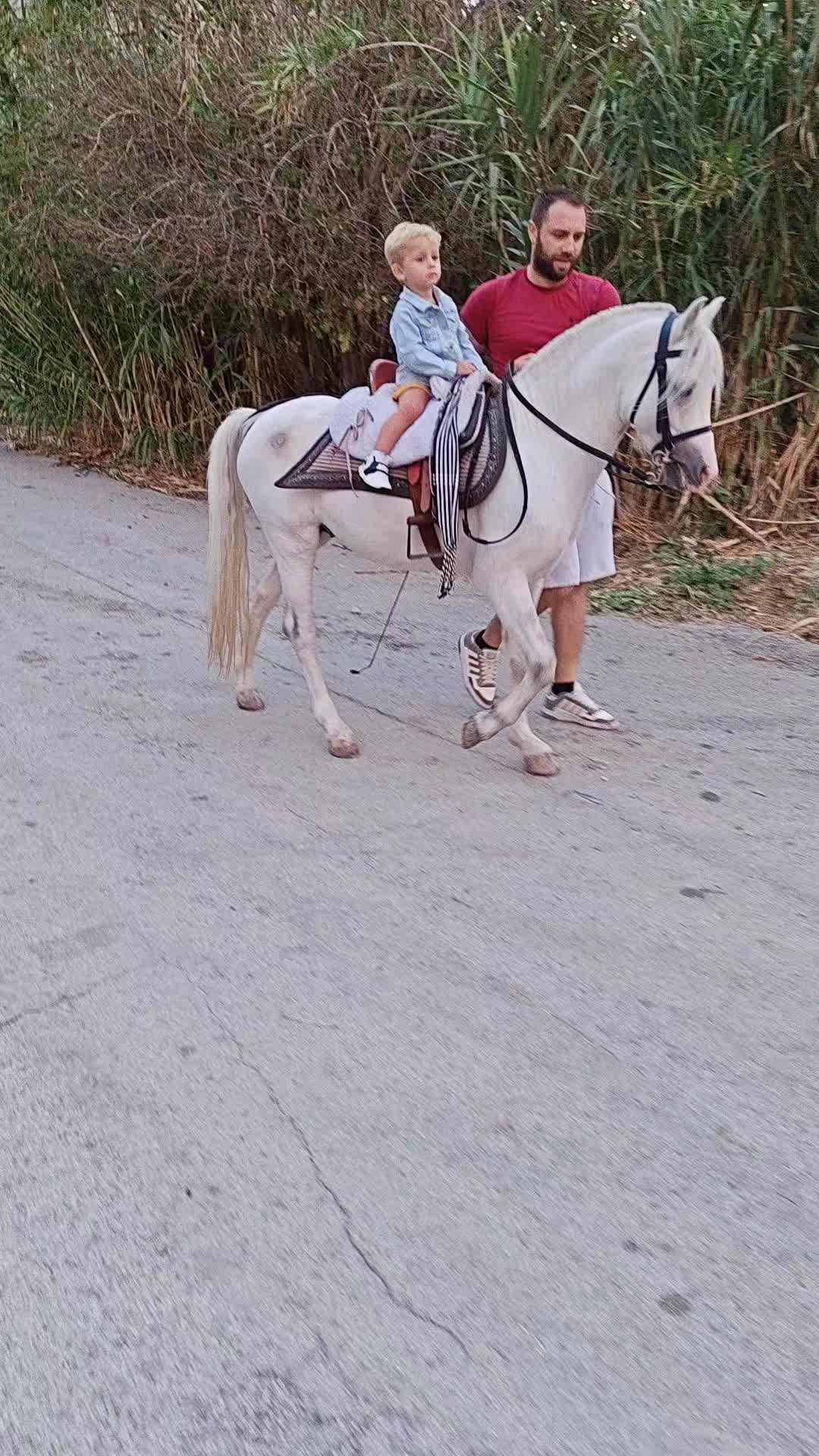 @pietrocanino