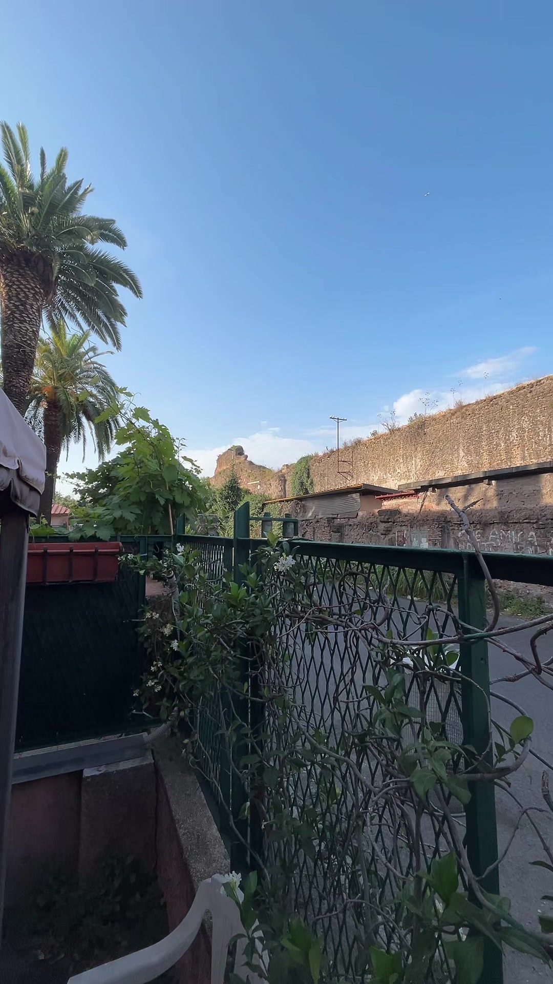 @vivaioanticogarden