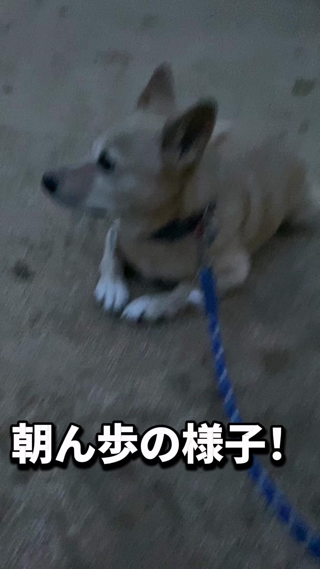 @てる